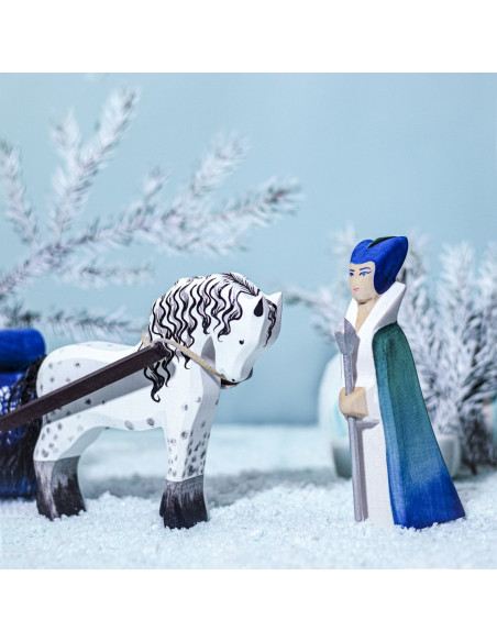 Sneeuwkoningin met slee set