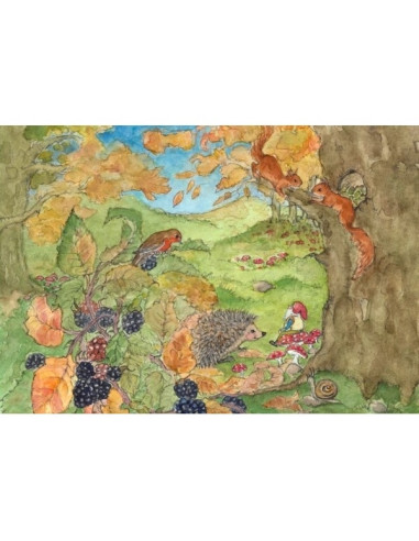 Ansichtkaart egel in bos Margo Heine