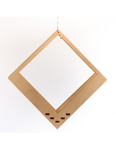 Luchtplantjes hanger vierkant