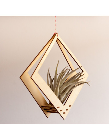 Luchtplantjes hanger vierkant