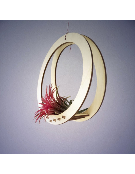 Luchtplantjes hanger rond