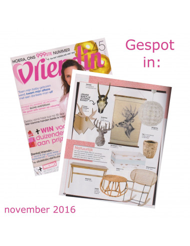 Houten elandkop groot