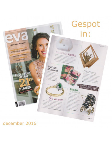 Luchtplantjes hanger vierkant