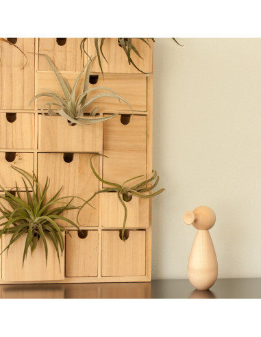 Design trompet vogel esdoorn