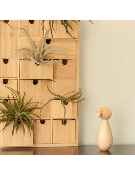 Design trompet vogel esdoorn Design trompet vogel esdoorn