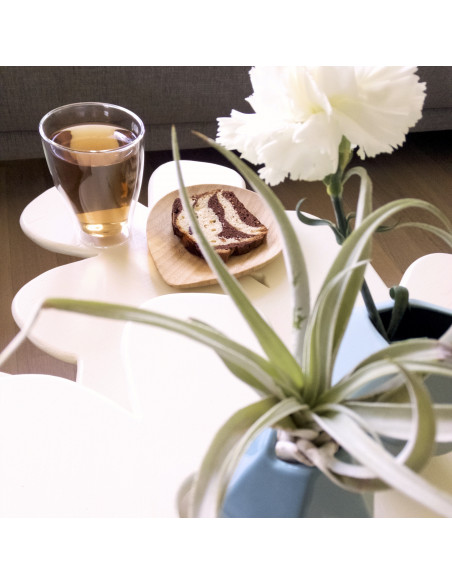 Bamboe bord druppel middel