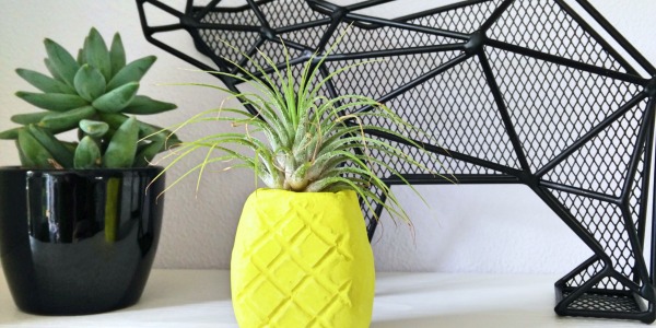 DIY ananas luchtplantjeshouder